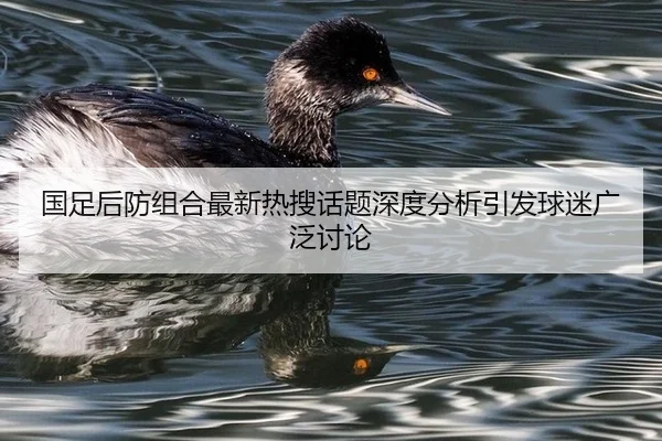 国足后防组合最新热搜话题深度分析引发球迷广泛讨论